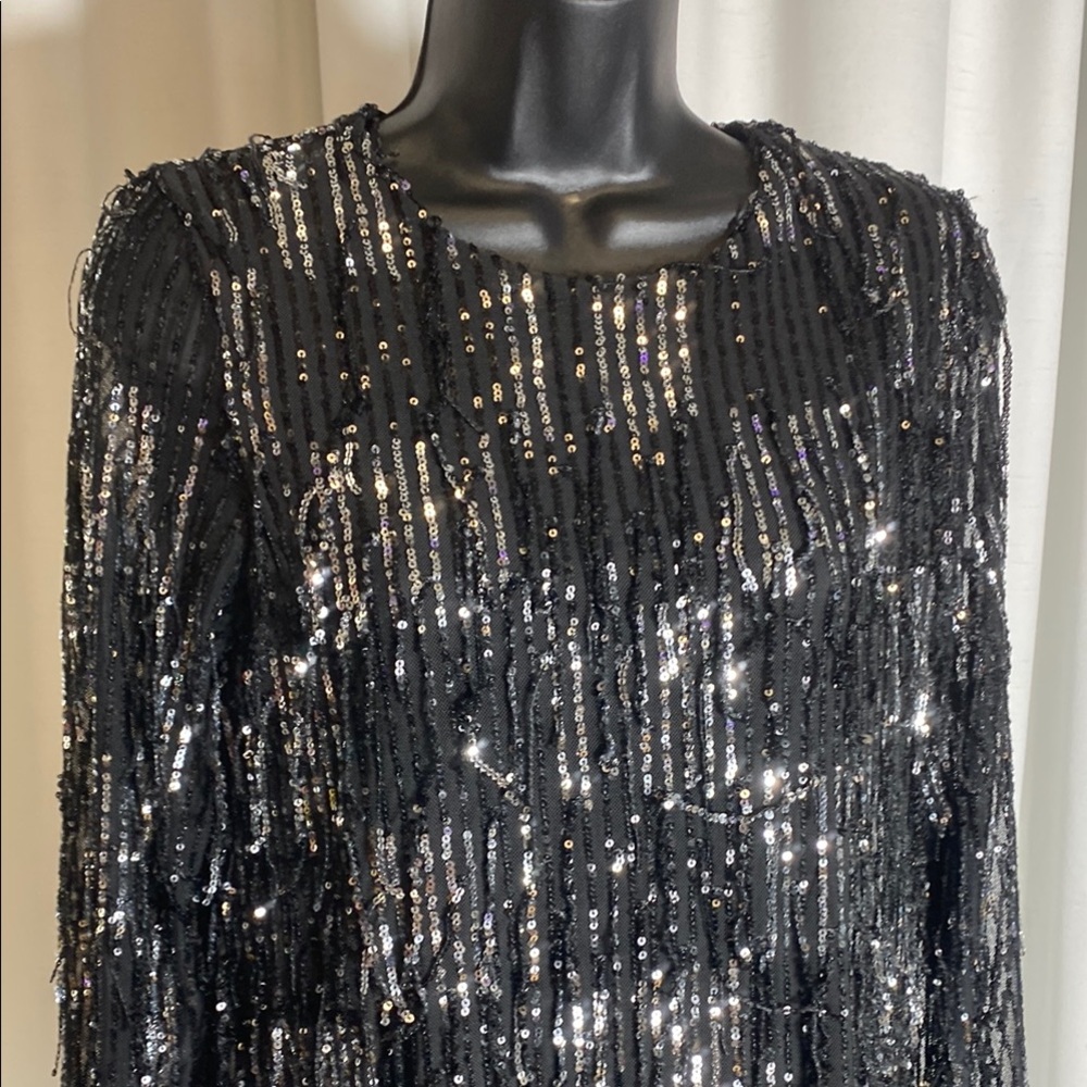 ZARA NWT WOMAN FRINGED SEQUIN MINI SHIFT DRESS BLACK - Picture 6 of 14